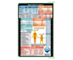 WhiteCoat Clipboard® - Mint Flight Medic Edition